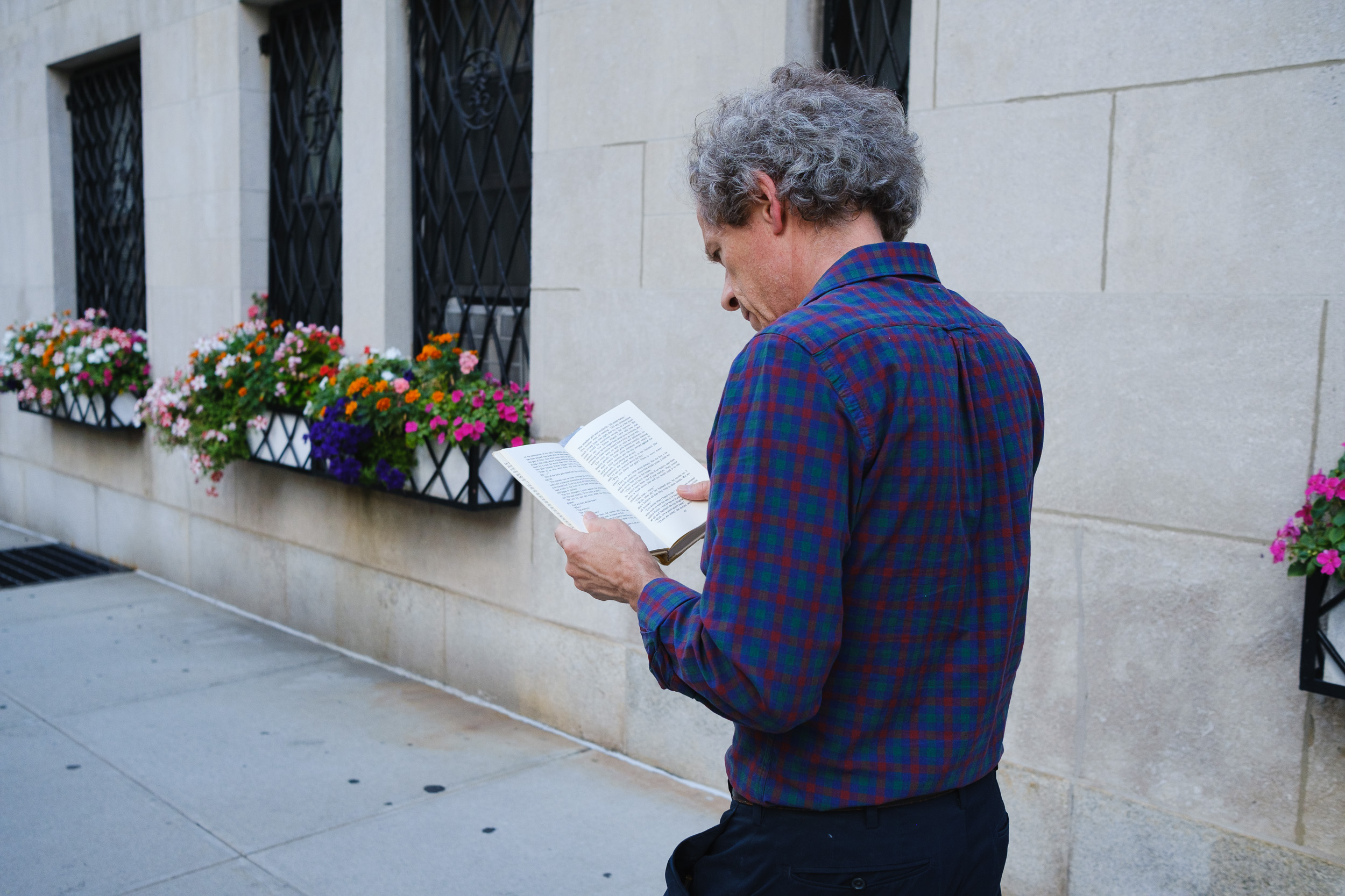 Person reading while walking down Park Avenue NYC